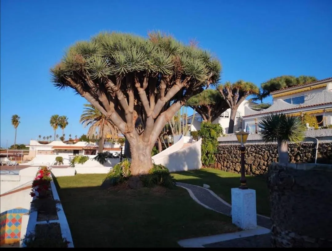 Appartement Pura Vida à Tacoronte